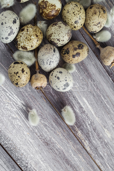 Stock photo: Easter background quail eggs catkins wooden table