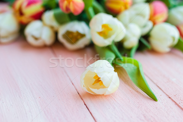 Stock photo: Art abstract background spring tulips wooden design