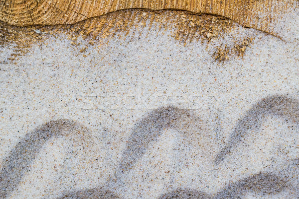 Stock fotó: Tengeri · homok · fa · asztal · víz · hal · háttér