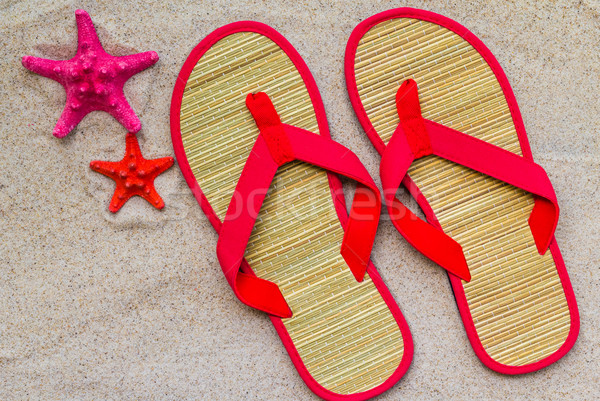 Sea shells flip flops beach sand Stock photo © fotoaloja