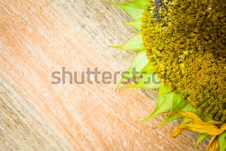 Background flower sunflower seeds wooden countertop Stock photo © fotoaloja