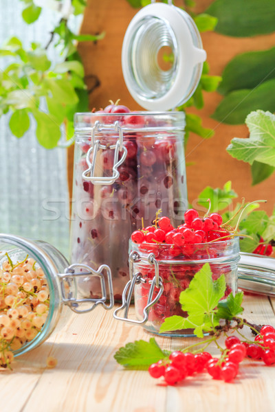 red white currants gooseberries jars preparations Stock photo © fotoaloja