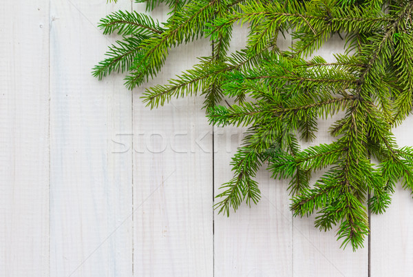 Christmas background greens spruce twigs white wooden Stock photo © fotoaloja