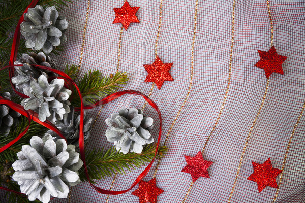 Christmas card with pines and spruce twig Stock photo © fotoaloja