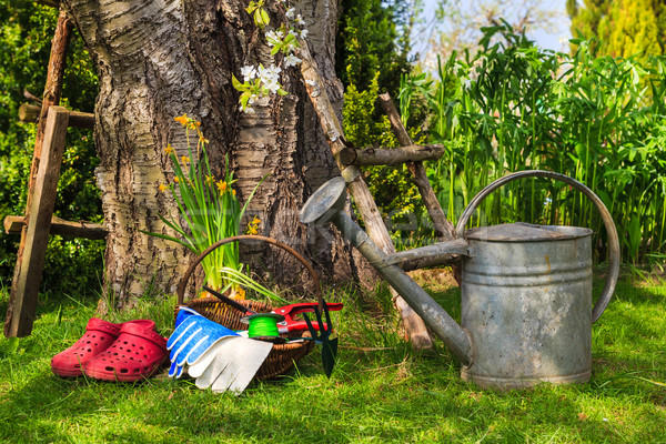 Stockfoto: Tools · uitrusting · baan · voorjaar · tuin · gras