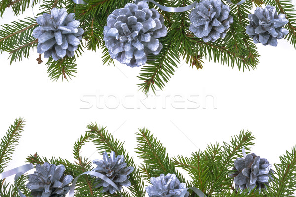 Christmas decorations background pine pines spruce twig white Stock photo © fotoaloja