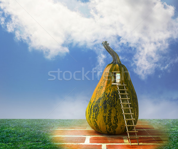 Foto stock: Cuento · de · hadas · calabaza · casa · escalera · ventana · casa