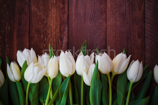 Kunst abstract voorjaar tulpen houten ontwerp Stockfoto © fotoaloja