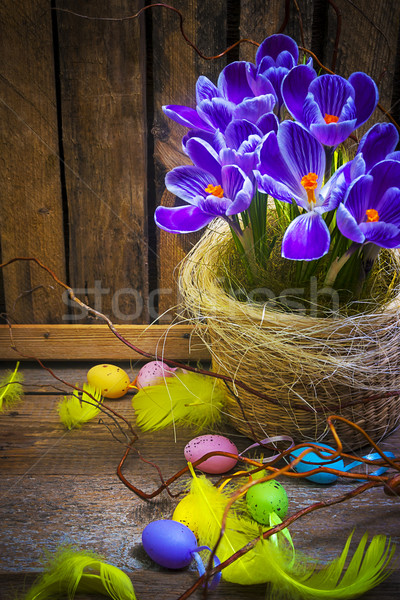 Arte ovo de páscoa cesta cartão açafrão Foto stock © fotoaloja