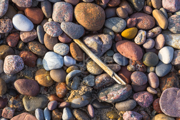 Background pebbles different sizes stony beach Stock photo © fotoaloja