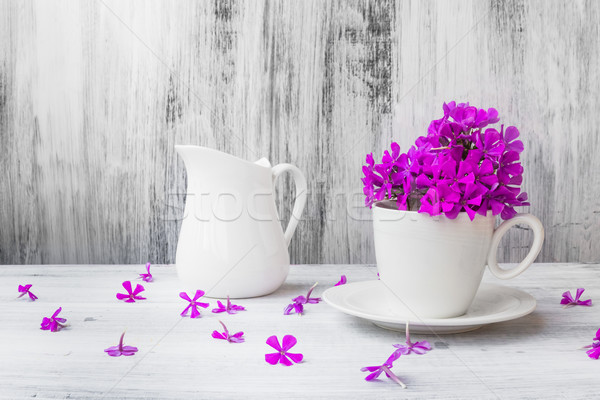 Still life white china flowers Stock photo © fotoaloja