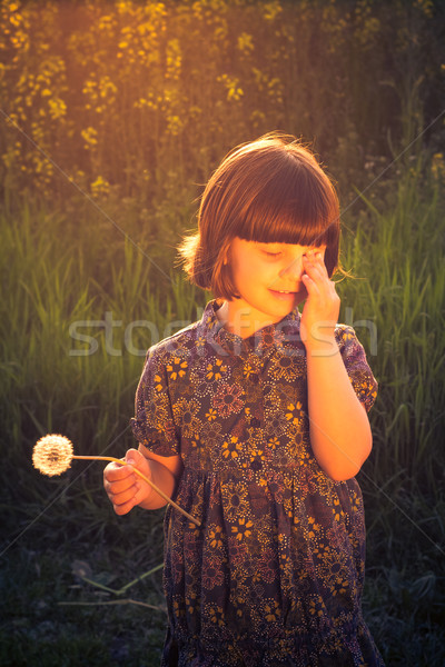 Joli petite fille pissenlits domaine viol fleur Photo stock © fotoaloja
