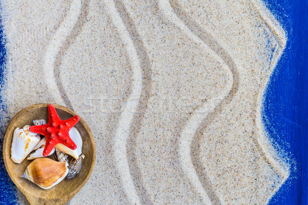 Shells colored spoon beach sand Stock photo © fotoaloja