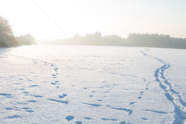 Hiver paysage blanche neige vide ciel [[stock_photo]] © fotoduki