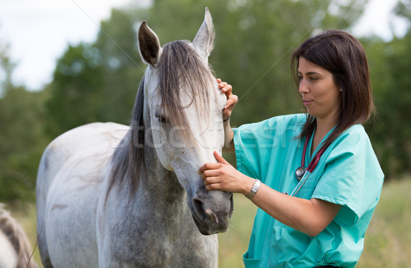 Stock photo: Veterinary on a farm