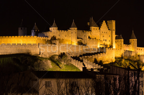 Castle and walls of Carcassonne Stock photo © fotoedu