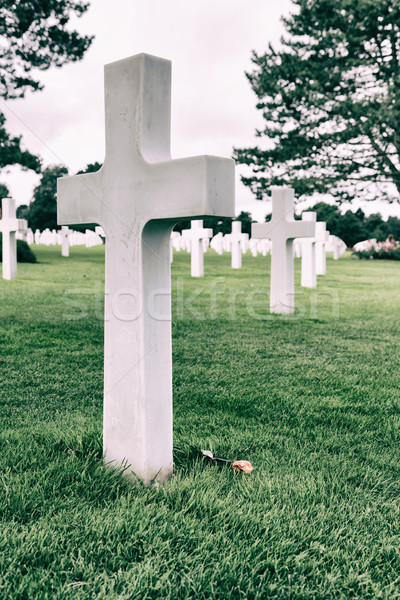 Branco cruzes americano cemitério praia normandia Foto stock © fotoedu