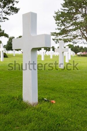 Foto stock: Branco · cruzes · americano · cemitério · praia · normandia