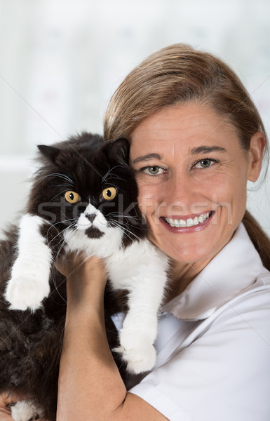 Stock photo: Veterinary clinic with a kitten