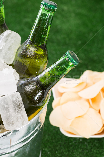 Frischen Bier Strand Flasche Drop Rasen Stock foto © fotoedu