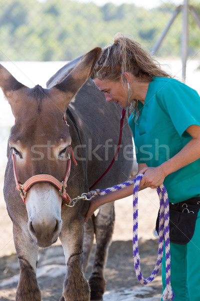ветеринарный фермы медицинской улыбка Сток-фото © fotoedu