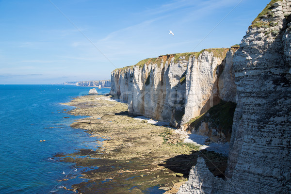 Etretat Aval cliff Stock photo © fotoedu