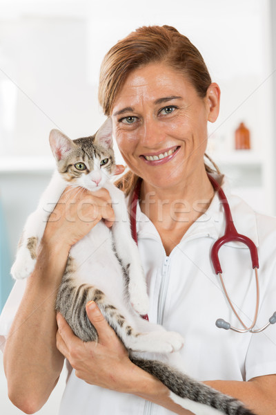 Vétérinaire clinique chaton chat femmes [[stock_photo]] © fotoedu