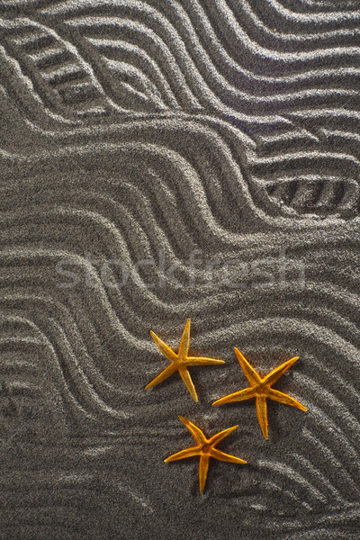 Foto stock: Estrellas · de · mar · arena · luz · gris · tres · naranja