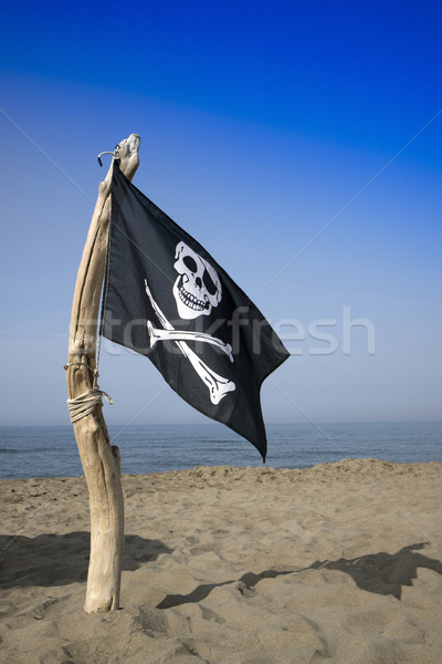 To hoist the flag of the pirates Stock photo © Fotografiche