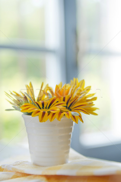 Foto stock: Amarillo · flores · de · verano · jardín · Daisy · flor · primavera