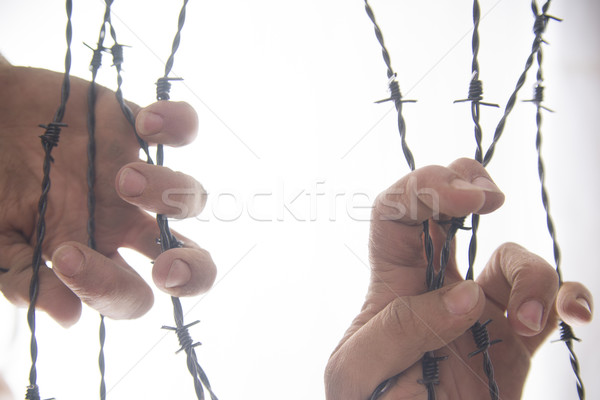 Mãos arame farpado agarrando assinar correr longe Foto stock © Fotografiche