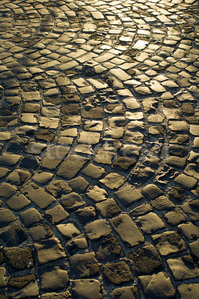 Urban paving cobblestones Stock photo © Fotografiche