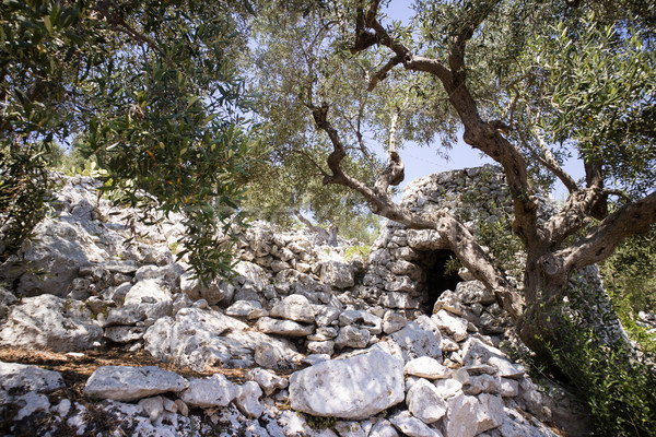 The Pajare of Salento Stock photo © Fotografiche