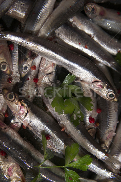 Fresh anchovy Stock photo © Fotografiche