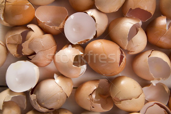 Foto d'archivio: Rotto · conchiglie · pollo · uova · bianco · tavolo · in · legno