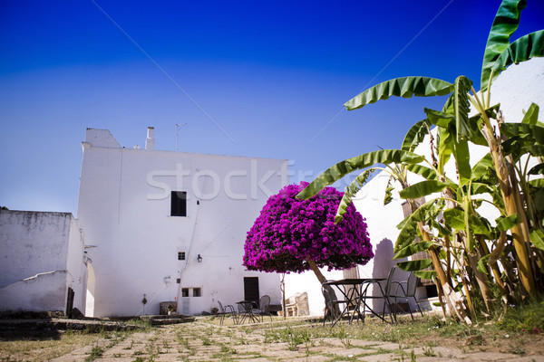 Particulier architectural typique ferme Emploi blanche [[stock_photo]] © Fotografiche