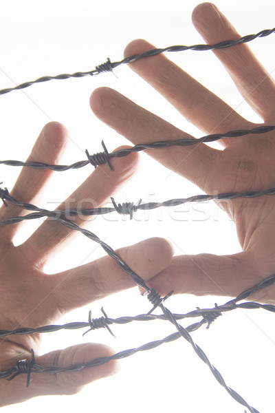 Hands in barbed wire Stock photo © Fotografiche