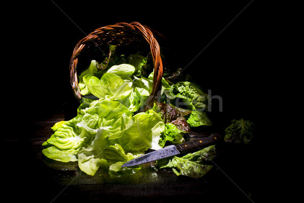 Stock photo: Presentation of green salad in basket