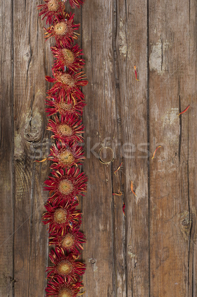 小 乾燥 花卉 花 橙 自然 商業照片 © Fotografiche