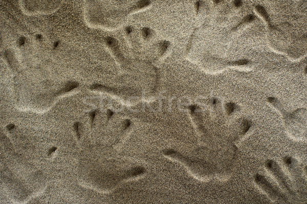 Handprints In The Sand Stock photo © Fotografiche