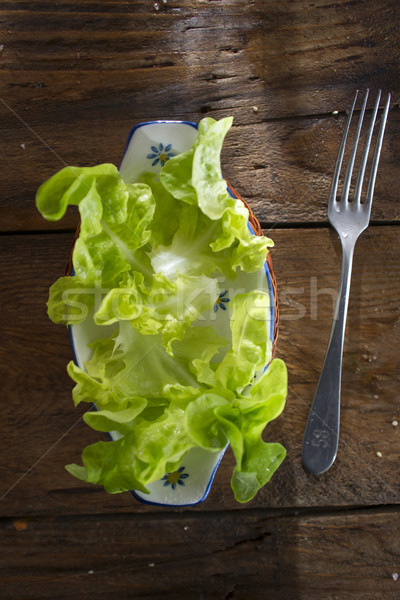 Stock photo: Plate of salad