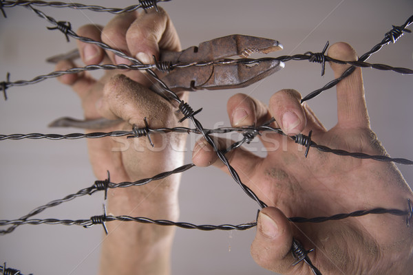 Hands in barbed wire Stock photo © Fotografiche