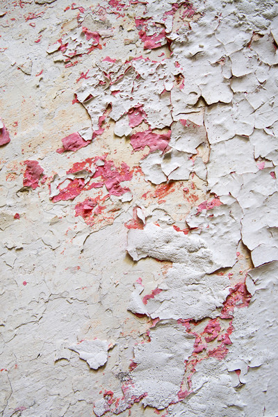 Wirkung Schimmel Feuchte alten Wand Wohn- Stock foto © Fotografiche