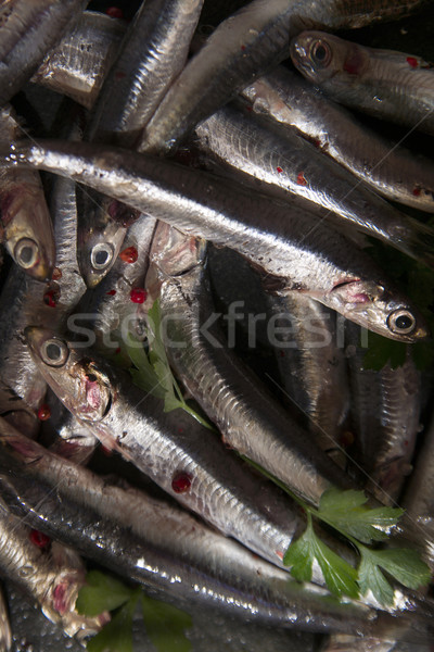 Fresh anchovy Stock photo © Fotografiche