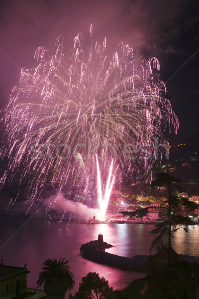 Fireworks Recco Italy  Stock photo © Fotografiche