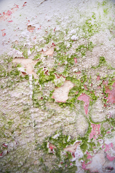 Effect vochtigheid oude muur woon- Stockfoto © Fotografiche