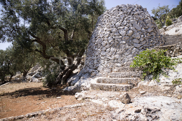 Tipico pietra costruzione animale rifugio panorama Foto d'archivio © Fotografiche