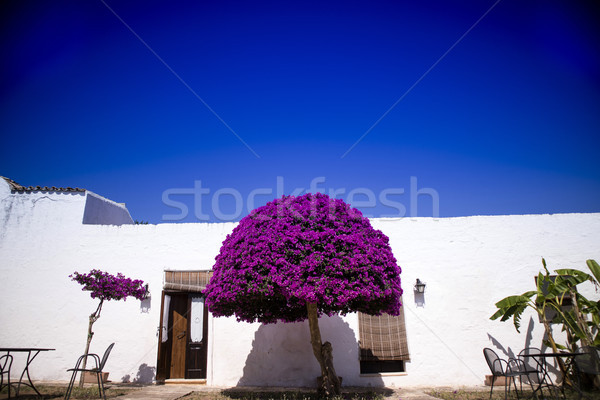 Particular architectural Masseria Stock photo © Fotografiche