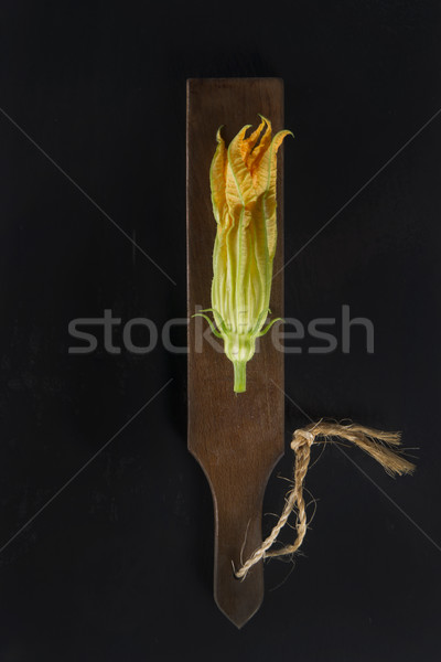 The yellow pumpkin flower Stock photo © Fotografiche