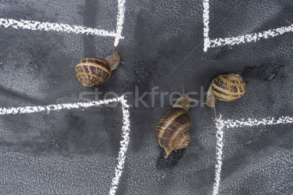 Spiraal vertragen reis dagelijks weg gebruikt Stockfoto © Fotografiche